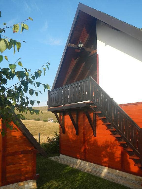 Apartments Hill House Zlatibor Extérieur photo