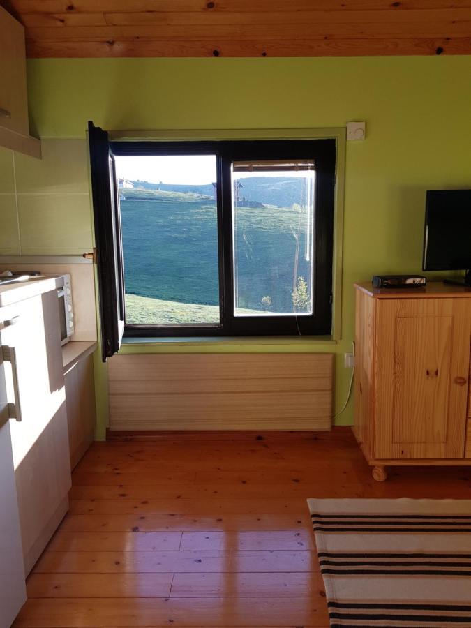 Apartments Hill House Zlatibor Extérieur photo