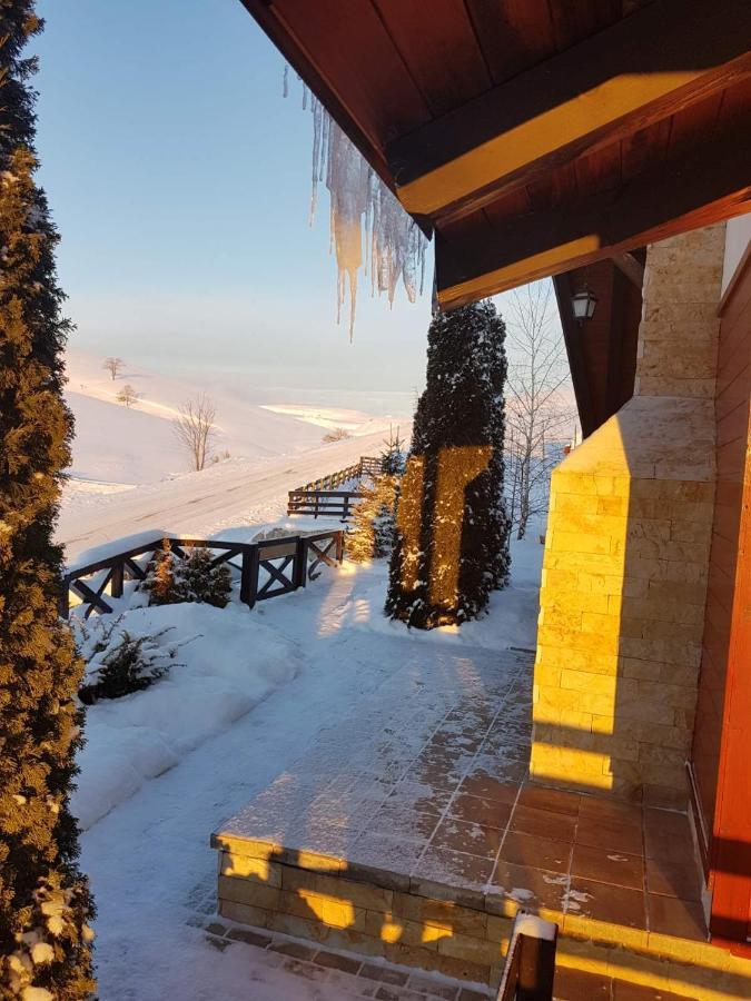 Apartments Hill House Zlatibor Extérieur photo