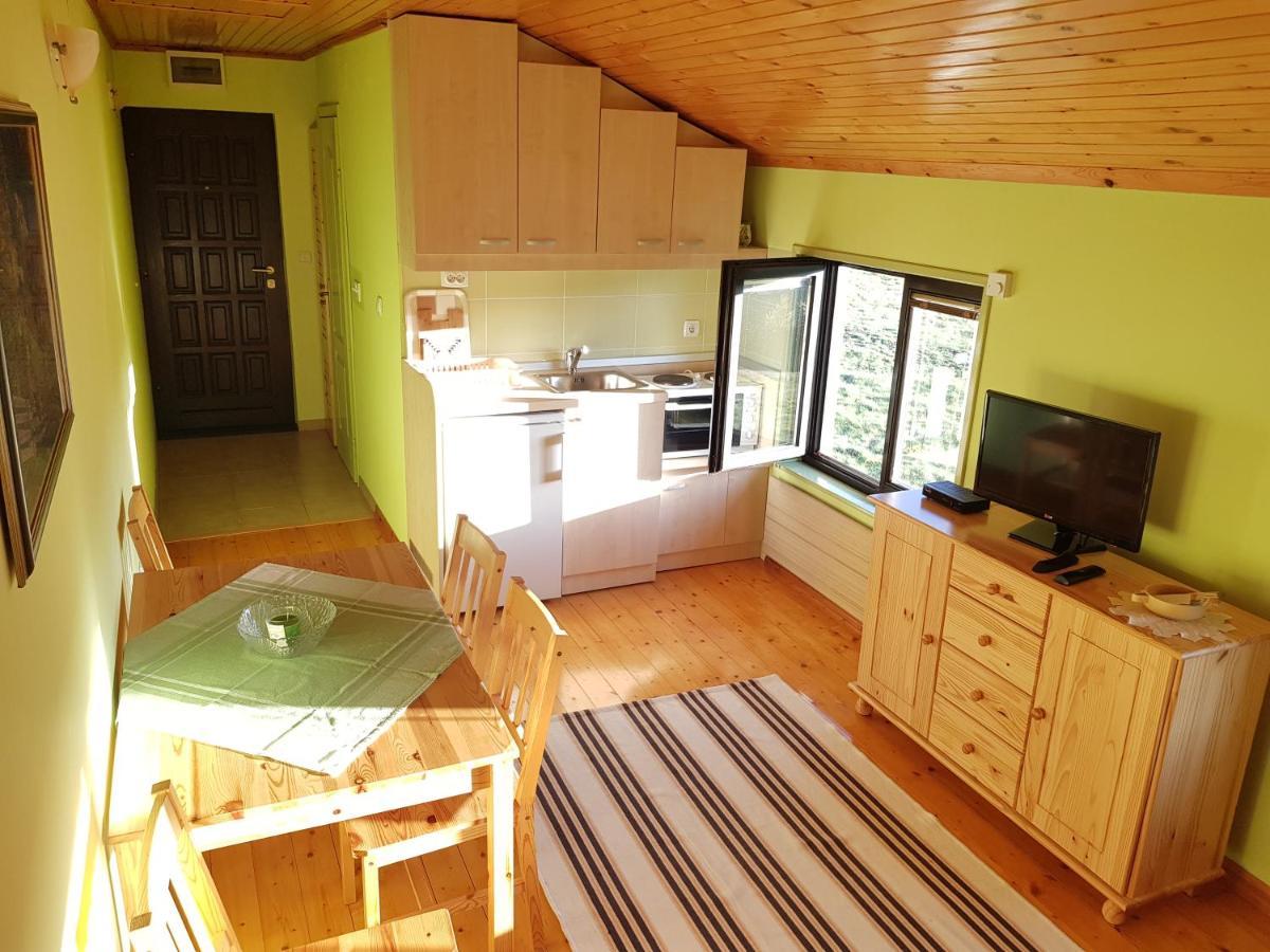 Apartments Hill House Zlatibor Extérieur photo
