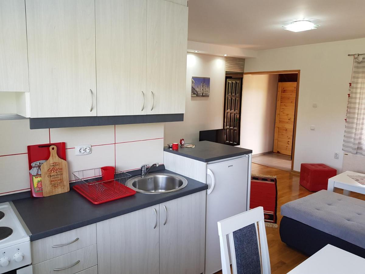 Apartments Hill House Zlatibor Extérieur photo