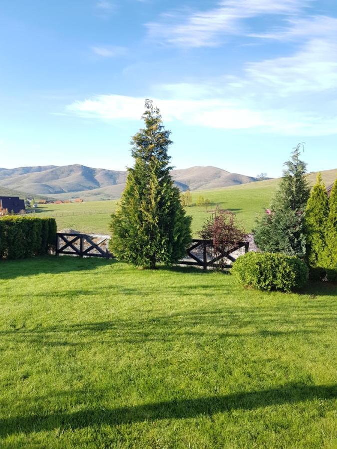 Apartments Hill House Zlatibor Extérieur photo